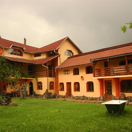 Arts And Crafts Guesthouse Baia-Sprie Exterior photo
